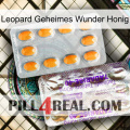 Leopard Secret Miracle Honey new12